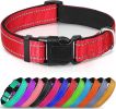 Reflective Neoprene Padded Nylon Dog Collar