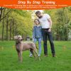 Underground Dog Fence with 100-Level IPX7 Collar, 656 Ft