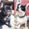 Spiked Microfiber Leather Dog Collar with Squeak Ball