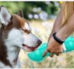 4-in-1 Dog Travel Water Bottle with Food & Bag Storage