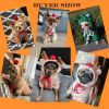 Plush Hooded Winter Dog Coat for Small Breeds - Christmas