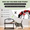 Elevated Dog Bowl Feeder Stand with 5 Adjustable Heights