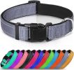Reflective Neoprene Padded Nylon Dog Collar