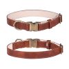 Soft Padded Leather Dog Collar with Metal Buckle