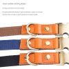 Soft Padded Leather Dog Collar with Metal Buckle
