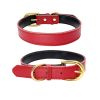 Genuine Leather Padded Wide Dog Collar - Waterproof