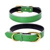 Genuine Leather Padded Wide Dog Collar - Waterproof