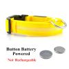 Rechargeable LED Glowing Dog Collar for Night Walks