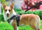 ALL4U Reflective Dragon Pattern Dog Harness Vest Set
