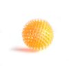 Spiky Vocal Molar Chew Toy for Small Dogs & Puppies