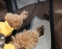 ALL4U Soft Mesh Dog Playpen with Waterproof Base