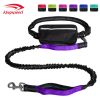 Hands-Free Bungee Dog Leash with Zipper Pouch