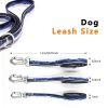 Reflective Waterproof PVC Dog Leash, Collar & Harness Set