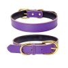 Genuine Leather Padded Wide Dog Collar - Waterproof