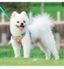 Beiru Reflective Vest Dog Harness & Leash Set - 6 Colors