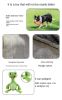 Bite-Resistant Plush Squeaky Dog Chew Toy - 7 Designs