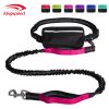 Hands-Free Bungee Dog Leash with Zipper Pouch