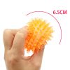 Spiky Vocal Molar Chew Toy for Small Dogs & Puppies