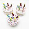 Birthday Cake Plush Squeaky Dog Toy with Chew Bone