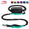 Hands-Free Bungee Dog Leash with Zipper Pouch