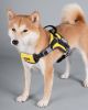 Dog Helios Scorpion Sporty Free-Range Dog Harness
