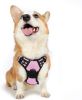 No-Pull Padded Dog Harness Vest with 2 Leash Clips