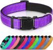 Reflective Neoprene Padded Nylon Dog Collar