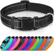 Reflective Neoprene Padded Nylon Dog Collar