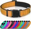 Reflective Neoprene Padded Nylon Dog Collar