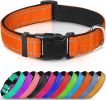 Reflective Neoprene Padded Nylon Dog Collar