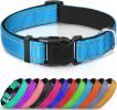 Reflective Neoprene Padded Nylon Dog Collar
