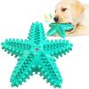 Starfish Squeaky TPR Dog Toothbrush Chew Toy