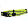 Reflective Waterproof PVC Dog Leash & Collar Set