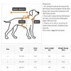 Waterproof Winter Dog Coat & Vest - S, M, L
