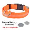 Rechargeable LED Glowing Dog Collar for Night Walks