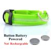 Rechargeable LED Glowing Dog Collar for Night Walks
