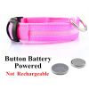 Rechargeable LED Glowing Dog Collar for Night Walks