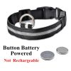 Rechargeable LED Glowing Dog Collar for Night Walks