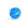 Spiky Vocal Molar Chew Toy for Small Dogs & Puppies