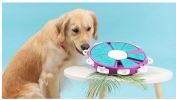 ALL4U Dog Puzzle Treat Dispenser - Slow Feeder Toy
