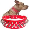 Studded Microfiber Leather Dog Collar & Squeaky Ball