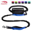 Hands-Free Bungee Dog Leash with Zipper Pouch
