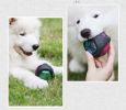 ALL4U Glow in the Dark Squeaky Rubber Dog Chew Ball