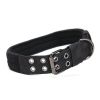 Heavy Duty Wide Dog Collar with D-Ring - 5 Adjust Points