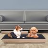 Foldable Wooden Pet Ramp with Non-Slip Felt - 4 Heights