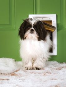 PetSafe Triple-Flap Extreme Weather Dog Door - Small (Option: Small)