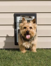PetSafe Dual-Flap Wall-Mounted Dog Door (Option: Small)