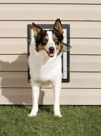 PetSafe Wall Dog Door (Option: Medium)